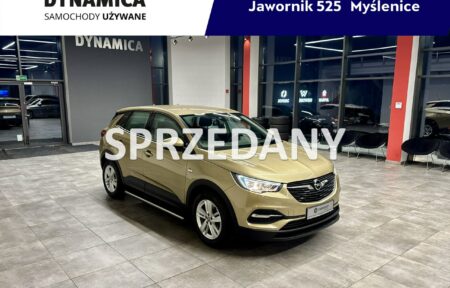 Używany samochód marki Opel, model Grandland X, rocznik 2018, przebieg 115900km - miniaturka 0