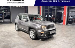 Używany samochód marki Jeep, model Renegade, rocznik 2019, przebieg 88200km