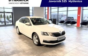 Używany samochód marki Škoda, model Octavia, rocznik 2019, przebieg 163400km