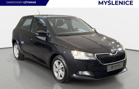 Używany samochód marki Škoda, model Fabia, rocznik 2020, przebieg 139300km - miniaturka 0