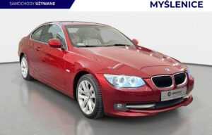 Używany samochód marki BMW, model 320, rocznik 2010, przebieg 174800km