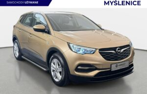 Używany samochód marki Opel, model Grandland X, rocznik 2018, przebieg 118500km