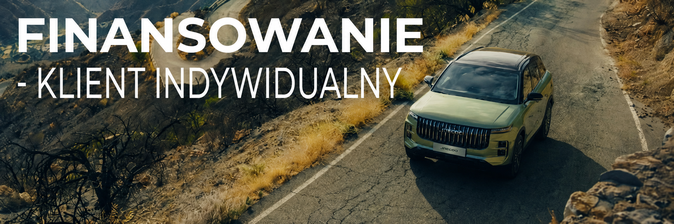 Finansowanie OMODA – kredyt, pożyczka – klient indywidualny - 91